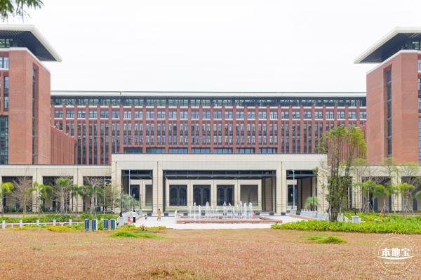 中山大学（深圳校区）