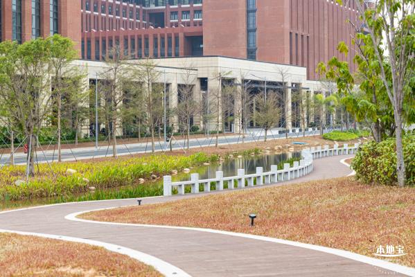 中山大学（深圳校区）