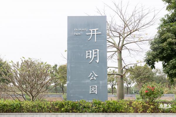 光明月季花海