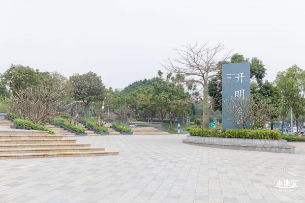 光明月季花海