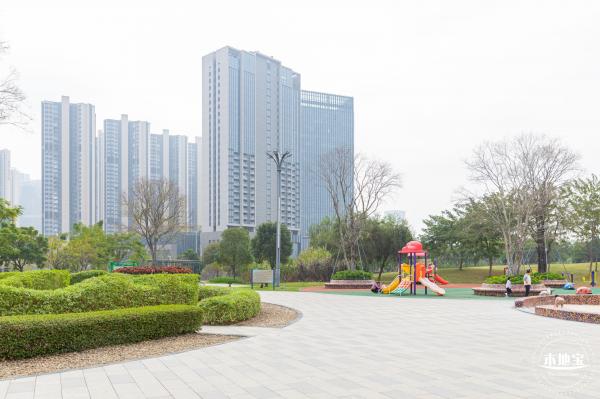 光明月季花海
