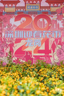 北理莫斯科大学&龙岗迎春花市