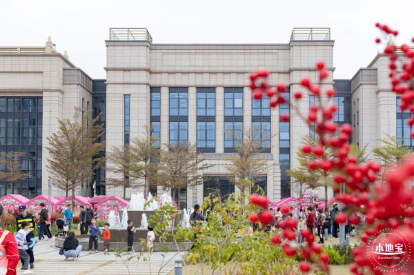 北理莫斯科大学&龙岗迎春花市
