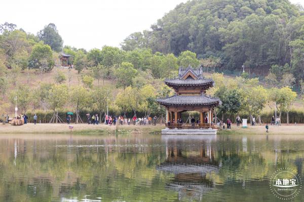 北理莫斯科大学&龙岗迎春花市