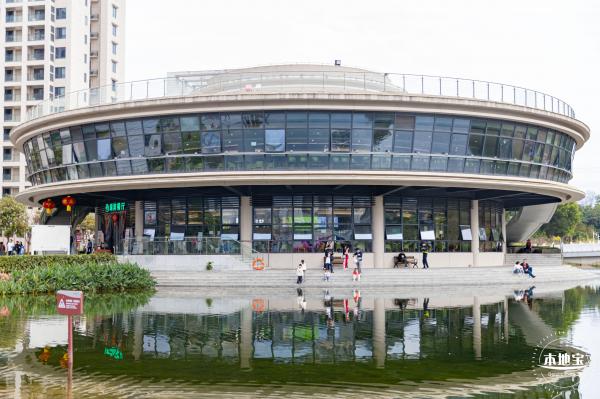 北理莫斯科大学&龙岗迎春花市