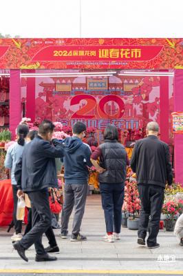 北理莫斯科大学&龙岗迎春花市