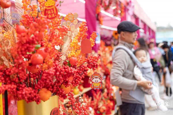 北理莫斯科大学&龙岗迎春花市