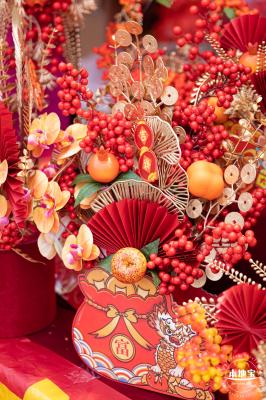 北理莫斯科大学&龙岗迎春花市