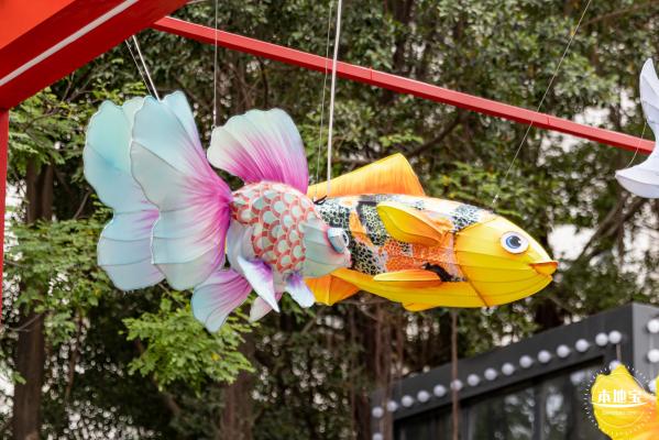 荷兰花卉小镇郁金香