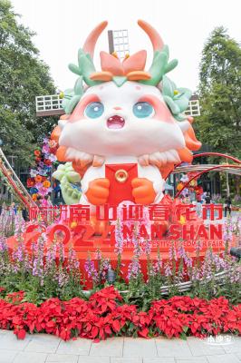 荷兰花卉小镇郁金香