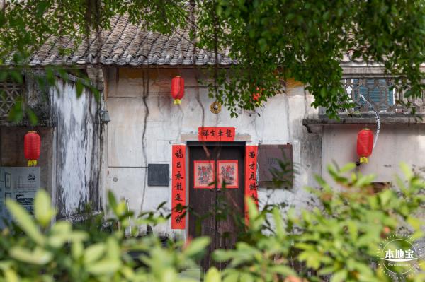 观澜油菜花海