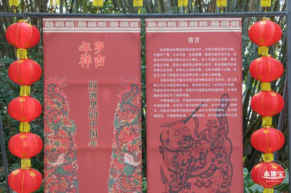 观澜油菜花海