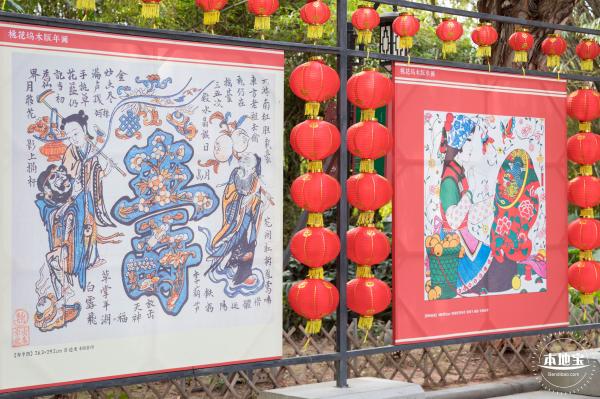 观澜油菜花海