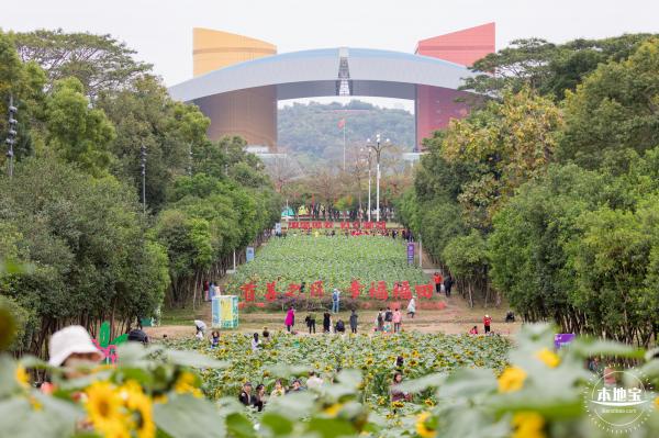 市民中心向日葵