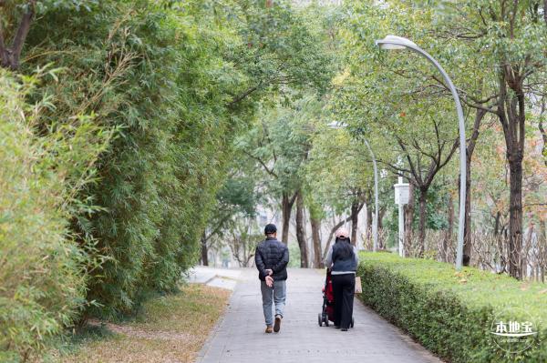 市民中心向日葵