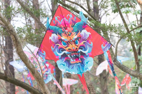 2024深圳月季赏