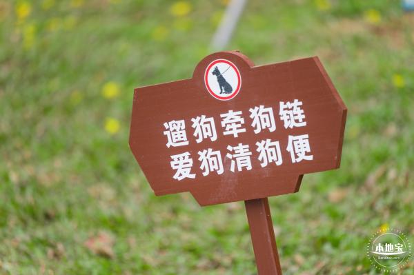 云曦萌宠绿地小游园