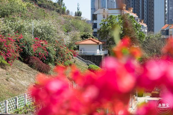华英路花海