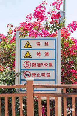 华英路花海