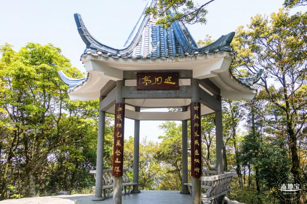 梧桐山毛棉杜鹃花会