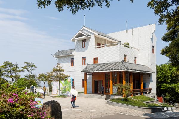 梧桐山毛棉杜鹃花会