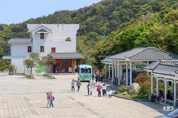 梧桐山毛棉杜鹃花会