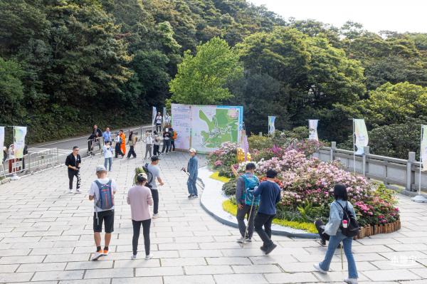 梧桐山毛棉杜鹃花会