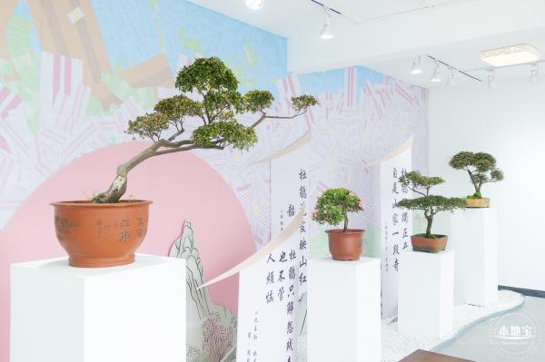 梧桐山毛棉杜鹃花会
