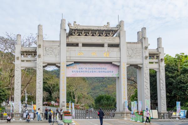 梧桐山毛棉杜鹃花会