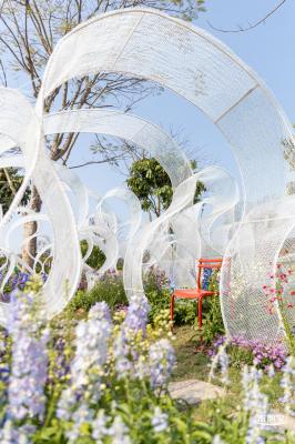 2024粤港澳大湾区花展