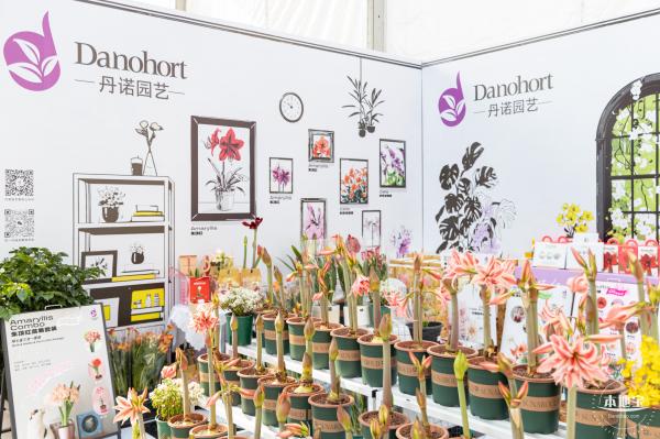 2024粤港澳大湾区花展