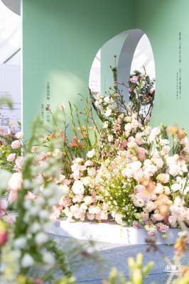 2024粤港澳大湾区花展