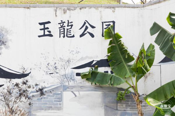 玉龙公园花海