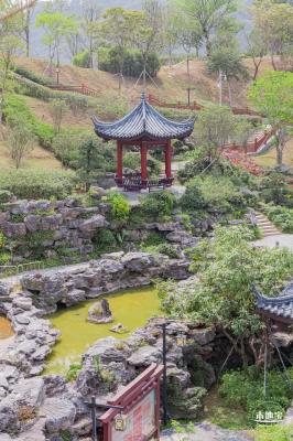 玉龙公园花海