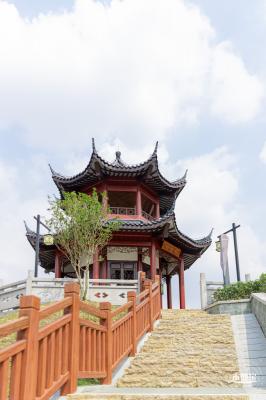 玉龙公园花海
