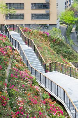 玉龙公园花海