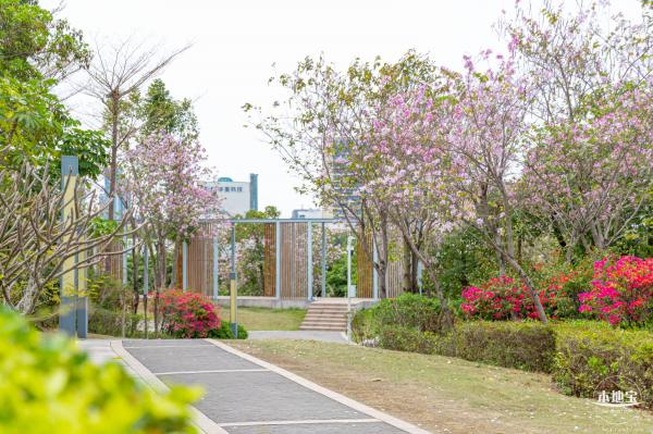 五指耙公园