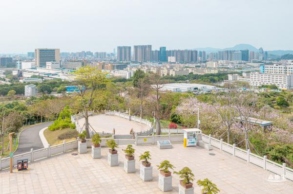 五指耙公园