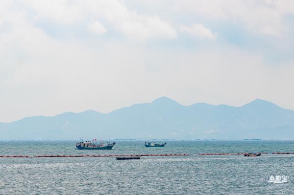 女蜗滨海公园花海