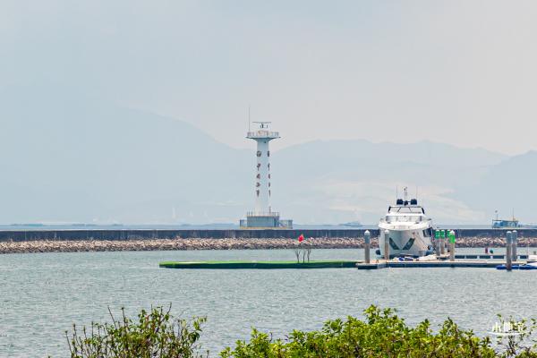 女蜗滨海公园花海