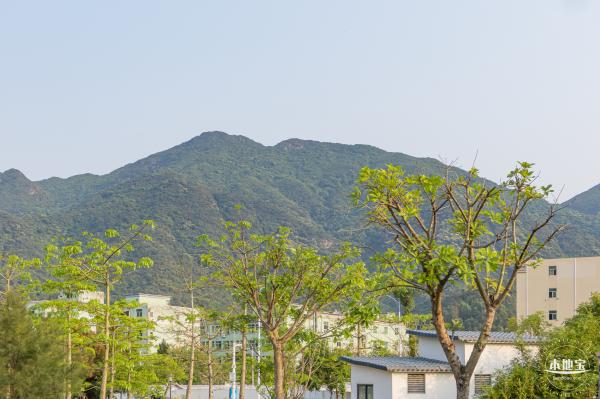 田心公园