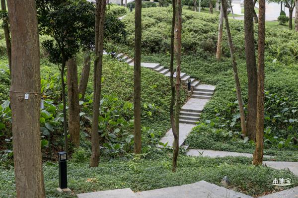 回龙埔公园