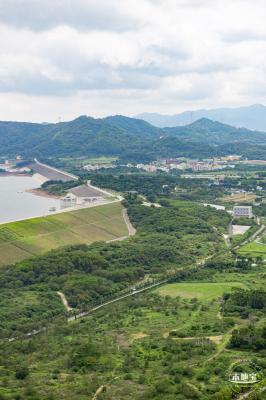 深圳光明向日葵