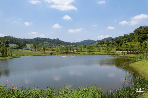 金湖上库水库库岸公园