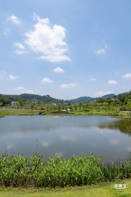 金湖上库水库库岸公园