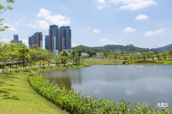 金湖上库水库库岸公园