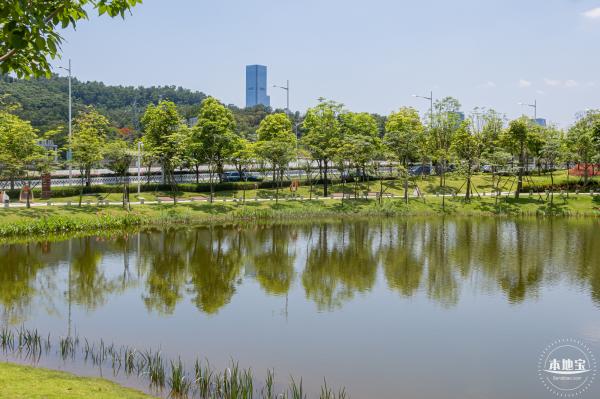 金湖上库水库库岸公园