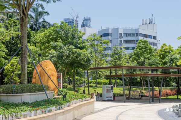 金湖上库水库库岸公园