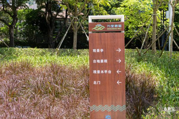 金湖上库水库库岸公园