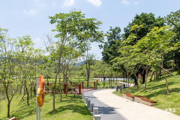 金湖上库水库库岸公园